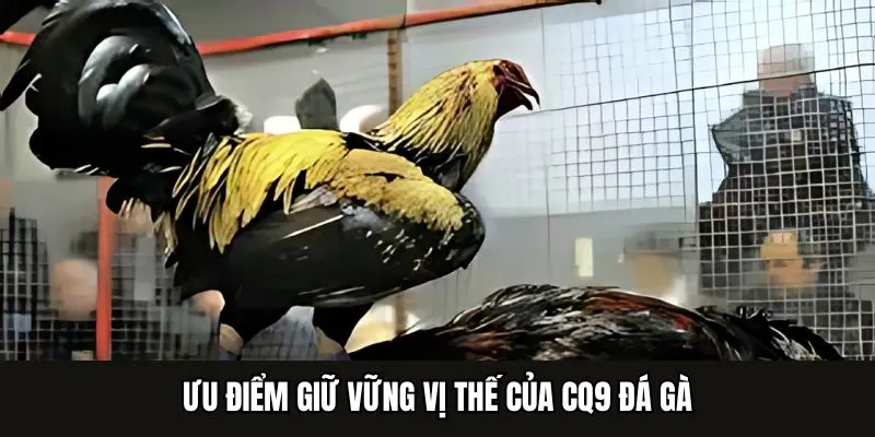 Ưu điểm giữ vững vị thế của CQ9 đá gà